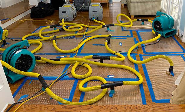 Professional Emergency Water Removal technician working in Vivian, LA